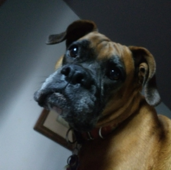 Meet your Posher, Kay - Picture 8 of 8